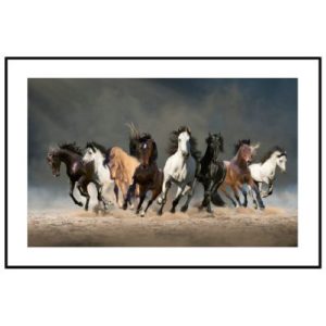 HORSES- GLASS PRINT IN FRAME- PICK UP ONLY